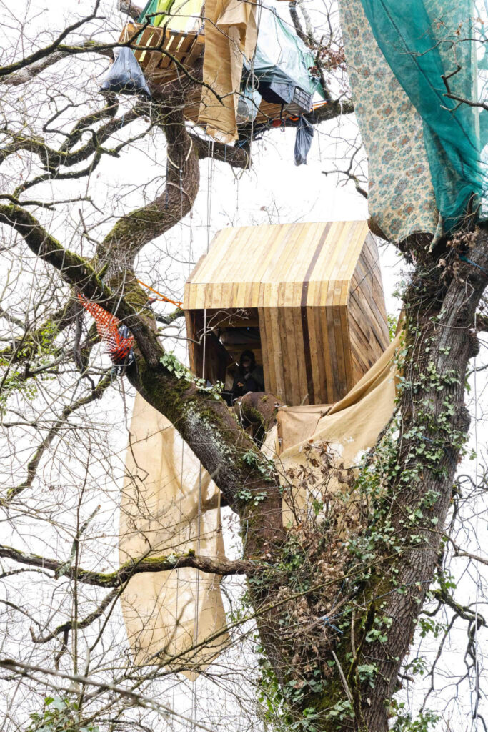 Construction d'une cabane dans un arbre